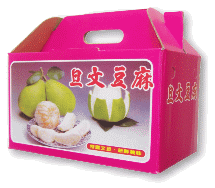 麻豆文旦禮盒 大白柚