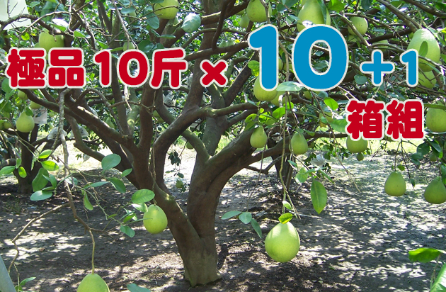 cRi~j¨她§ 10 + 1 e§զX