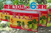 柚愛∼【精選】麻豆文旦禮盒 10 斤裝 - 6 箱組