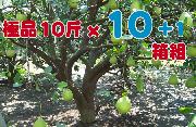 cRi~j¨她§ 10 + 1 e§զX